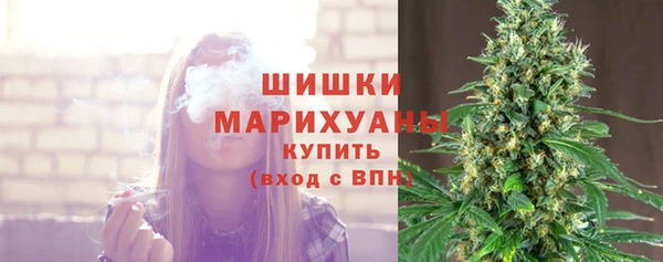 ПСИЛОЦИБИНОВЫЕ ГРИБЫ Богородицк