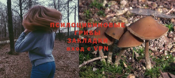 ПСИЛОЦИБИНОВЫЕ ГРИБЫ Богородицк