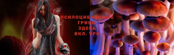 ПСИЛОЦИБИНОВЫЕ ГРИБЫ Богородицк