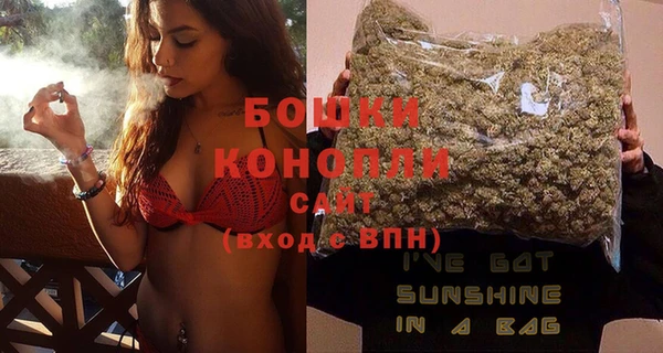 spice Богородск