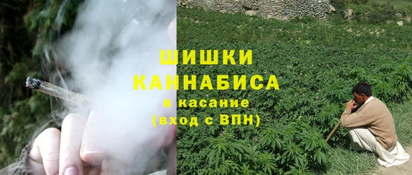 ПСИЛОЦИБИНОВЫЕ ГРИБЫ Богородицк