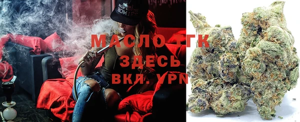 spice Богородск