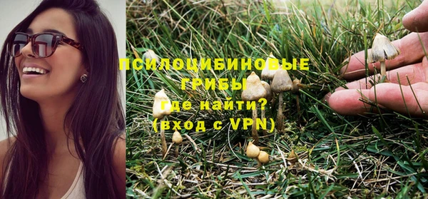 spice Богородск