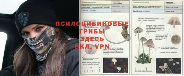ПСИЛОЦИБИНОВЫЕ ГРИБЫ Богородицк