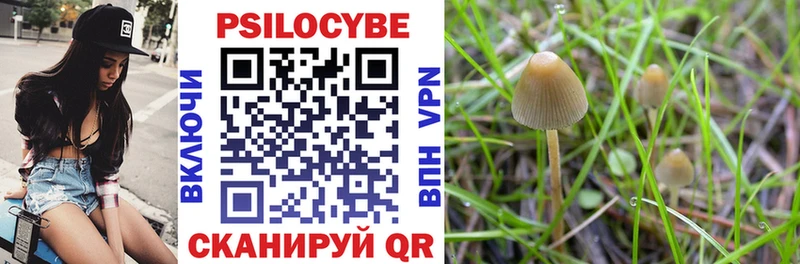 Псилоцибиновые грибы Psilocybe  Пенза 
